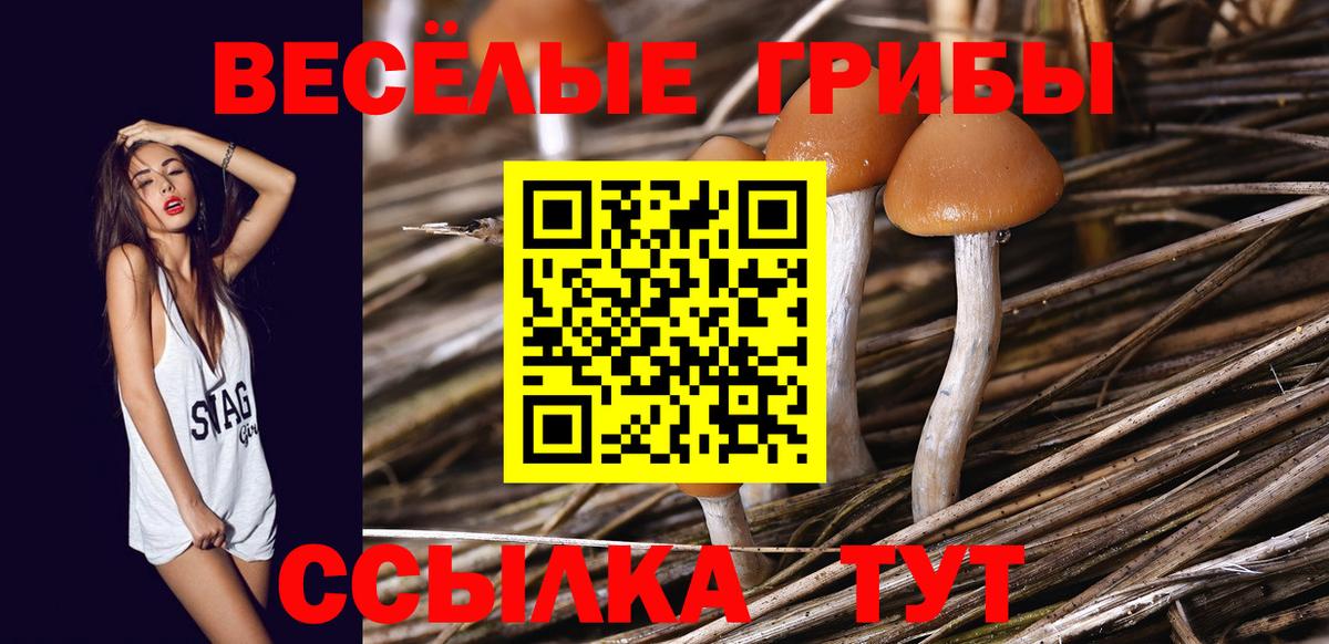 наркошоп  Вход с VPN  Вышний Волочёк  Галлюциногенные грибы прущие грибы  Псилоцибиновые грибы MAGIC MUSHROOMS 